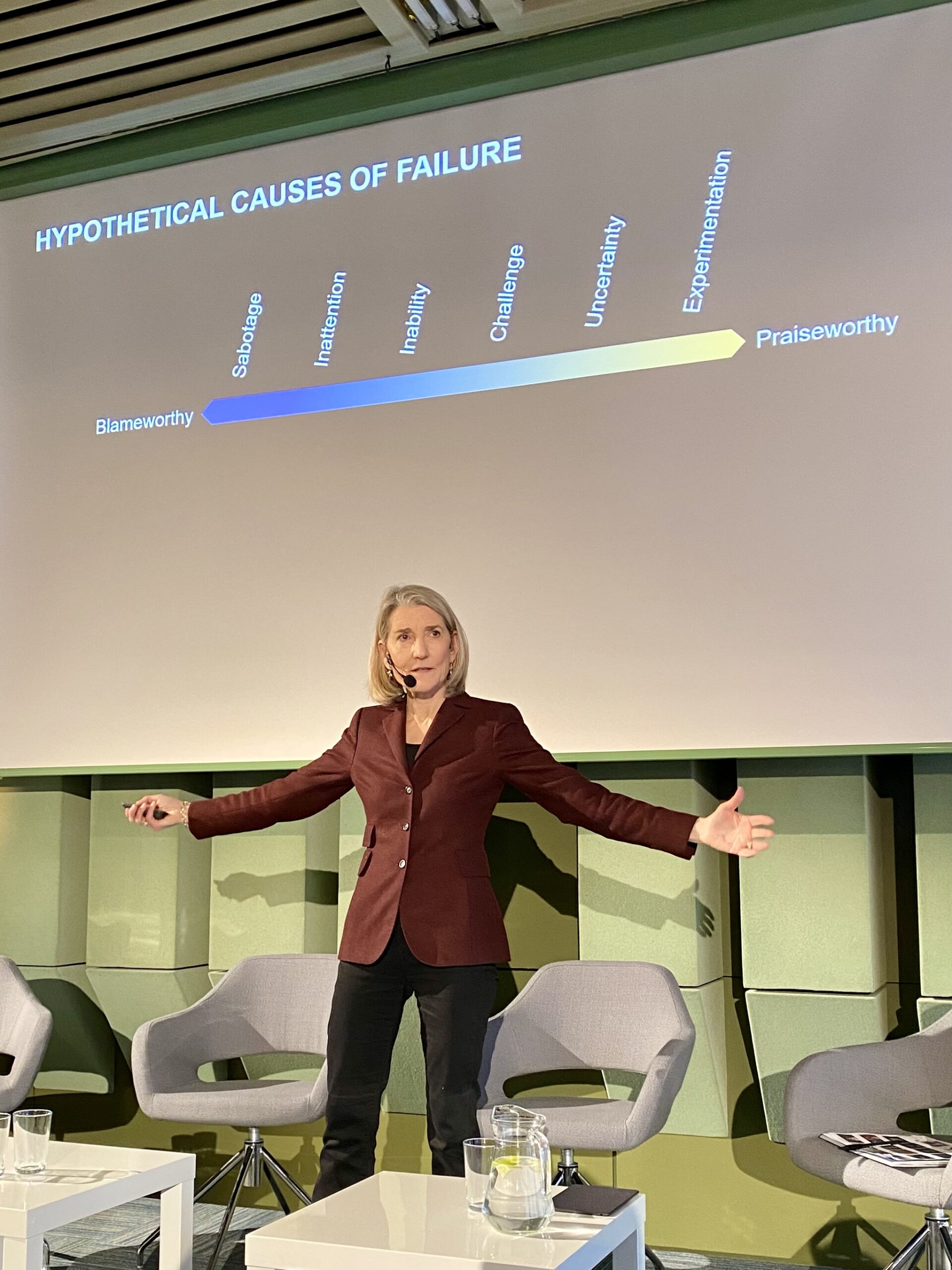 Harvard professor Amy C. Edmondson in Prague